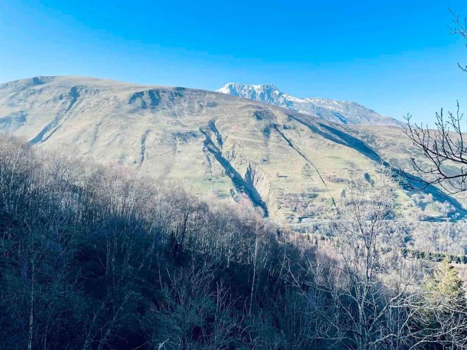 Chalet Au Pla D'Adet Saint-Lary-Soulan Eksteriør bilde